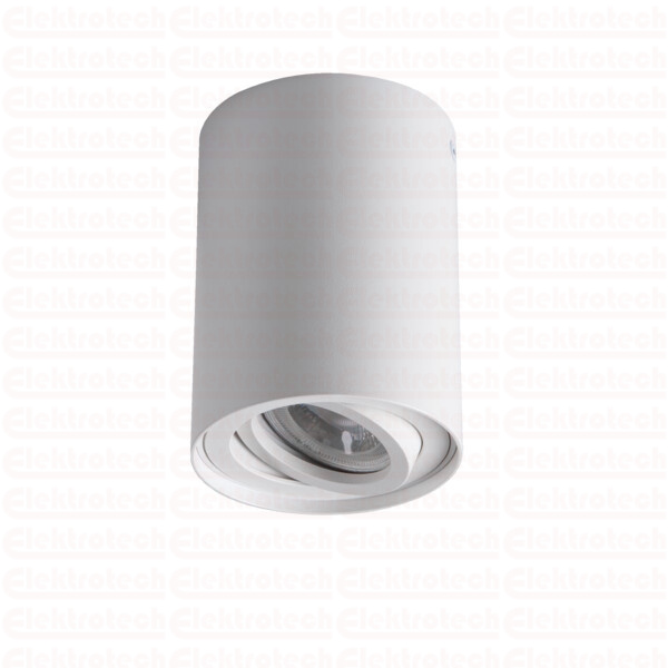 Oprawa sufitowa punktowa BORD XS DLP-50-W